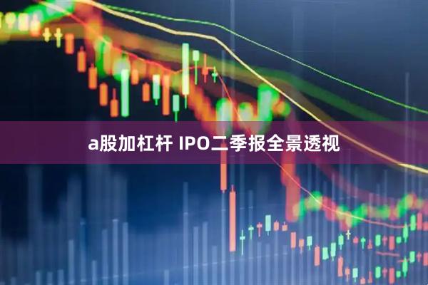 a股加杠杆 IPO二季报全景透视